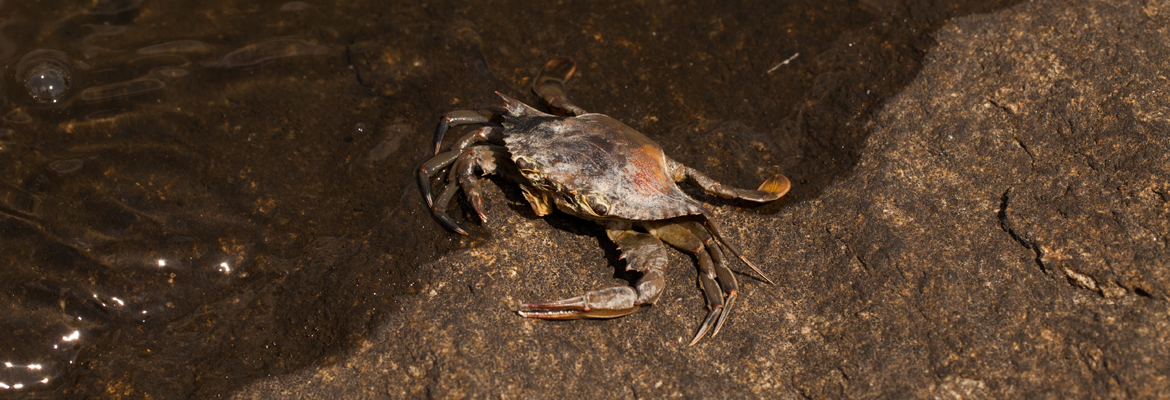 IMG_9384 by Shan Gordon. 