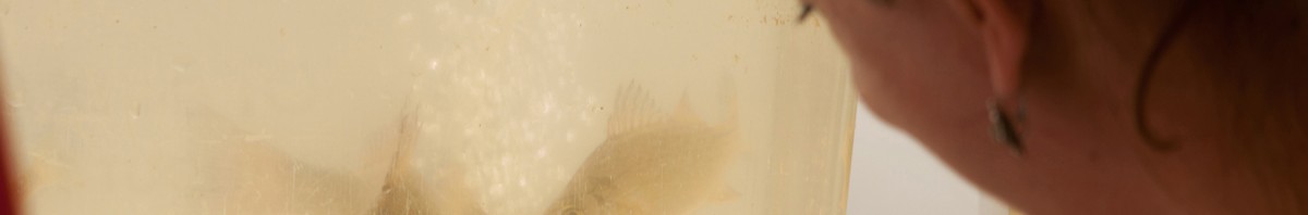 Learning on the Chesapeake Bay