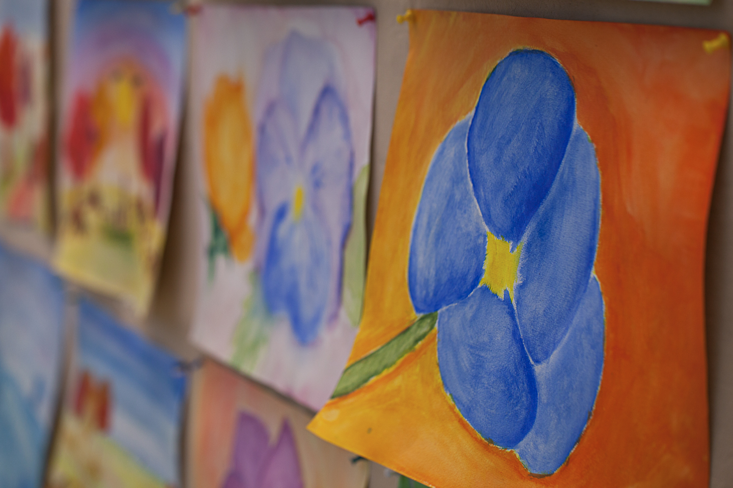 IMG_0268 by Shan Gordon. 