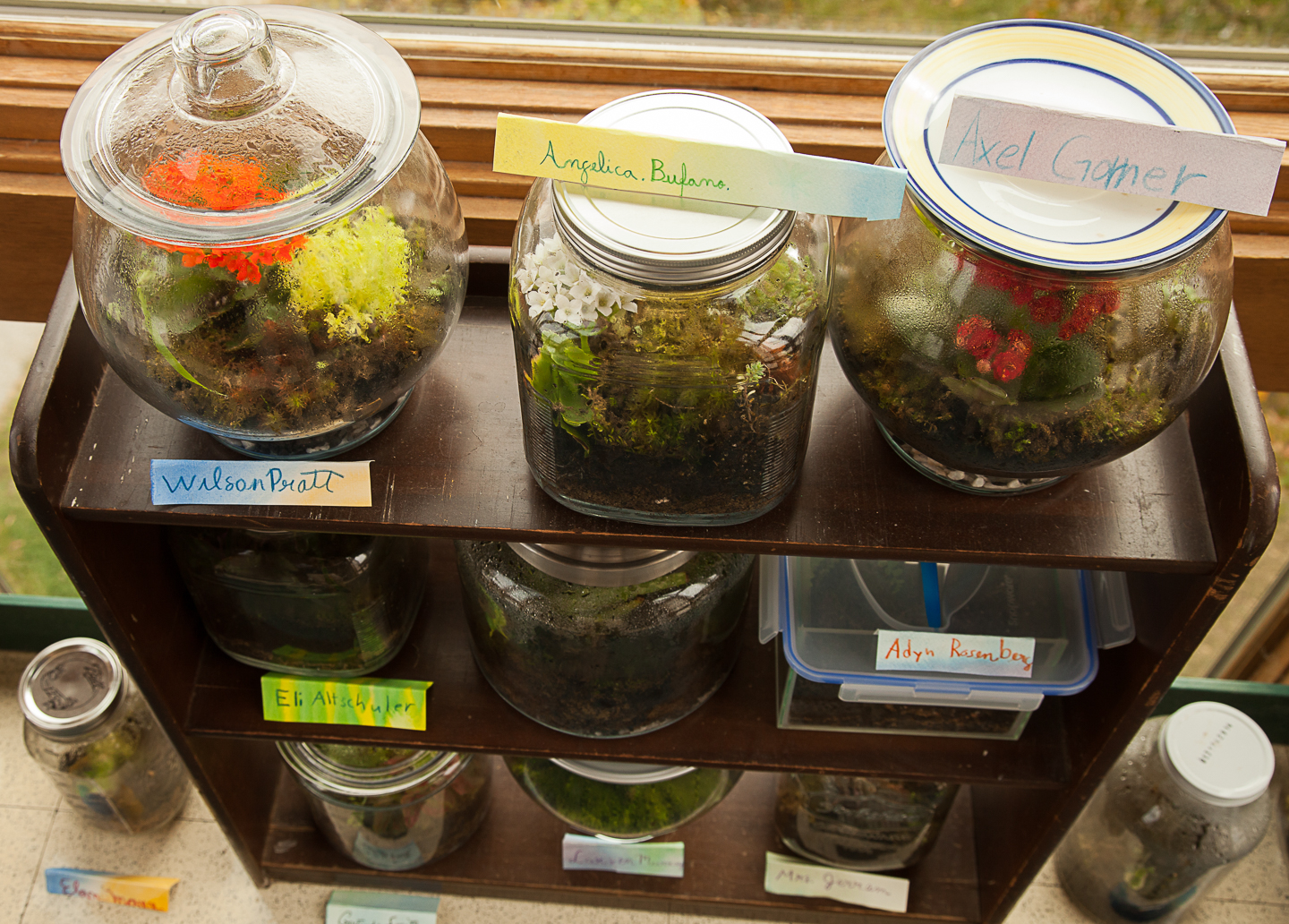 IMG_0284 by Shan Gordon. 