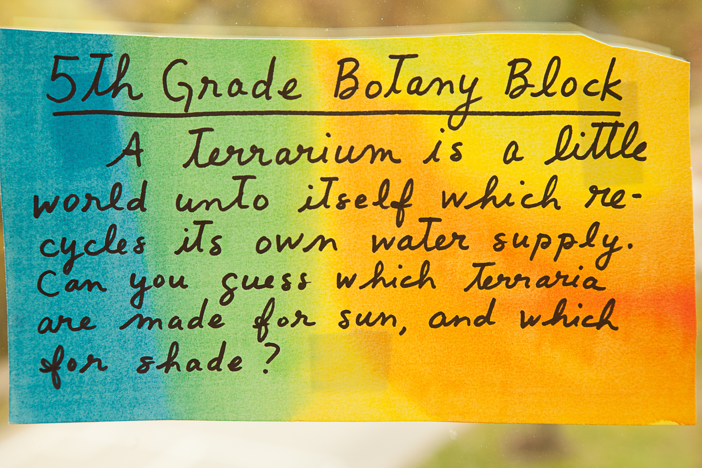 IMG_0285 by Shan Gordon. 