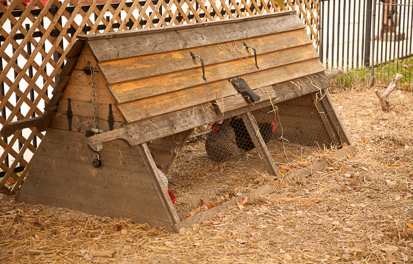 IMG_0298 by Shan Gordon. 