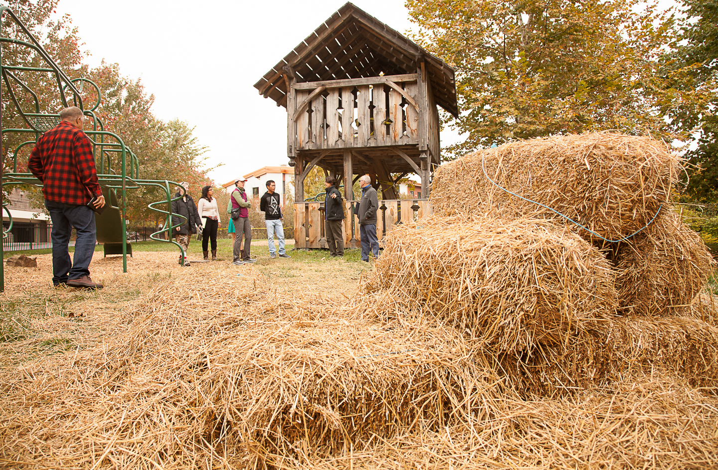 IMG_0303 by Shan Gordon. 